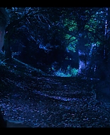Fate_The_Winx_Saga_S02E05_Are_You_a_Good_Witch_or_a_Bad_Witch_1080p_007520.jpg